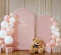 Event Decoration Backdrop with Balloon Accents